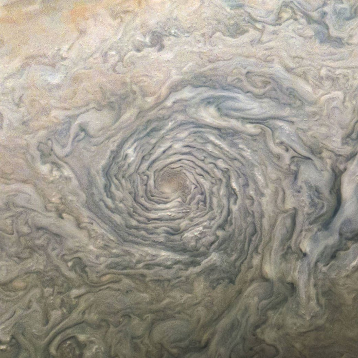 Jovian Vortex