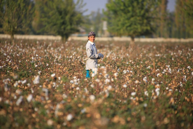 Uzbekistan says it wants to eradicate forced labour in its cotton industry after decades of abuse