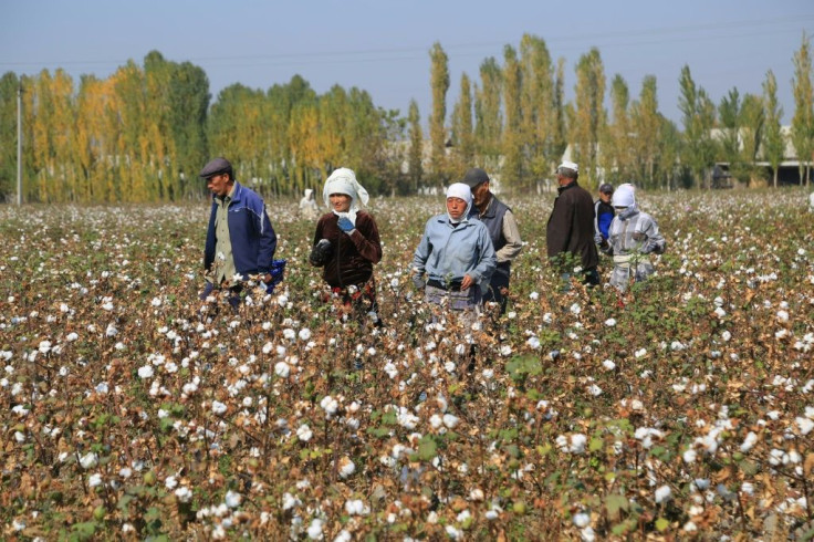 Uzbekistan started phasing out child labour in the cotton fields with the death of the country's first leader, Islam Karimov