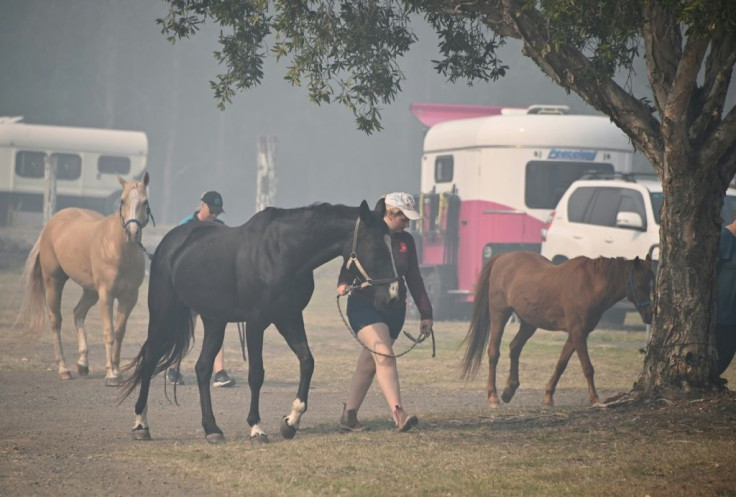 Animals are being taken out of the path of the fires