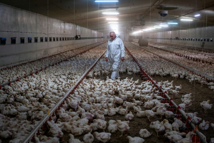 Andrzej Gontarski (pictured) heads a farm comprising a dozen huge chicken coop warehouses