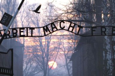 The Auschwitz memorial museum said historical and geographical information in the Netflix documentary about the locations of Nazi death camps was "simply wrong"Â 