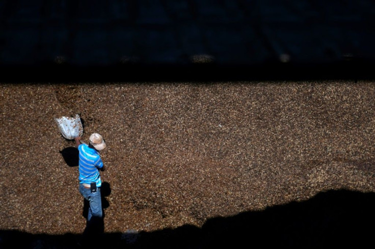 Coffee prices in commodity markets have dropped dramatically
