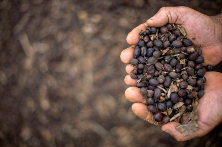 Some beans are very exclusive, and carry a corresponding price tag