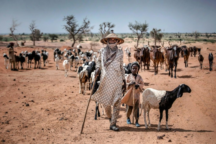 Dairy farmers in arid portions of West Africa are nomadic, making developing business to fully meet demand difficult