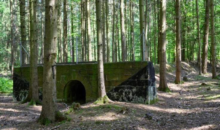 The 1930s era project has been swallowed up in the Bavarian forest