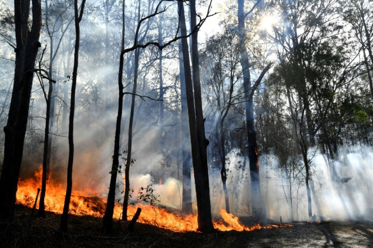 New South Wales is the Australian state worst affected by a series of catastrophic fires