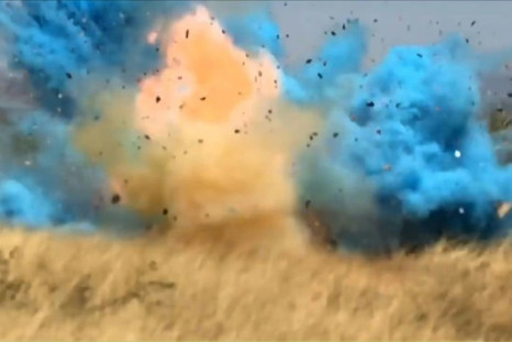 A border guard accidentally started a giant fire in Arizona in 2017 at a gender reveal party by shooting at a homemade target made with a highly explosive product