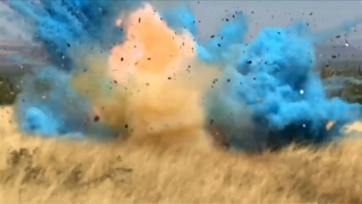 A border guard accidentally started a giant fire in Arizona in 2017 at a gender reveal party by shooting at a homemade target made with a highly explosive product