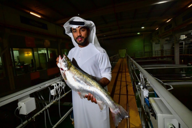 Fish Farm chief executive Bader bin Mubarak says "no one could have imagined" that salmon would be raised in the desert