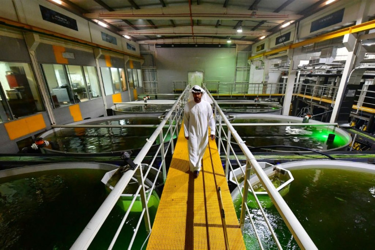 At Fish Farm, says Bader bin Mubarak (pictured), they came up with "the idea of dark water that resembles deep water, a strong current like the ocean with the same salinity and temperature of the Atlantic"