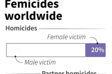 The share by gender of homicides and partner-killings worldwide.