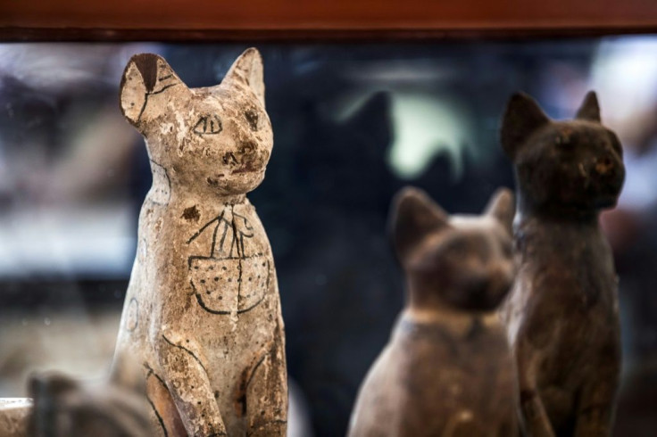 Statues of cats found in the dig unveiled at Saqqara by Egypt's antiquities ministry on November 23, 2019