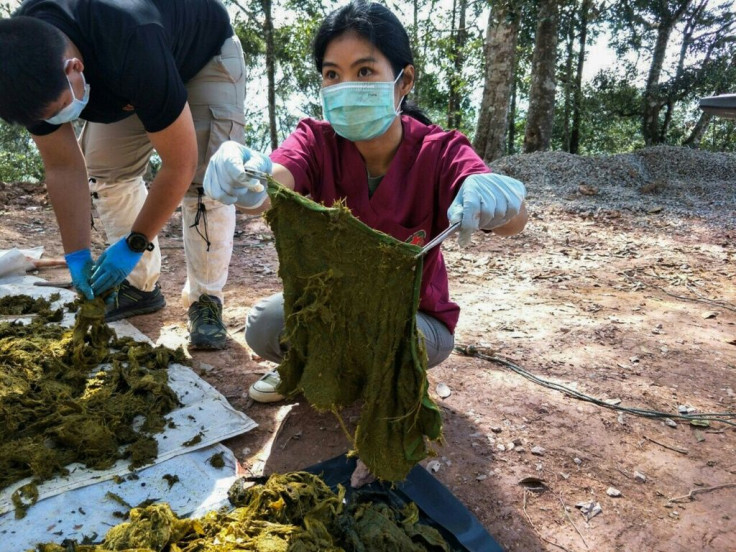 The bags found inside the deer's stomach contained coffee grounds, instant noodle packaging, garbage bags, towels and also underwear, according to photos provided by the national park