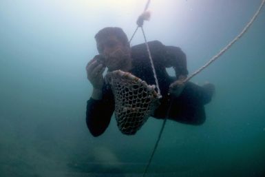 Emirati Abdullah al-Suwaidi wants to keep alive the tradition of pearl diving, which once underpinned the UAE economy