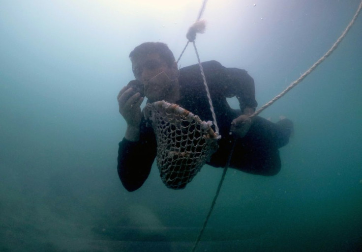 Emirati Abdullah al-Suwaidi wants to keep alive the tradition of pearl diving, which once underpinned the UAE economy