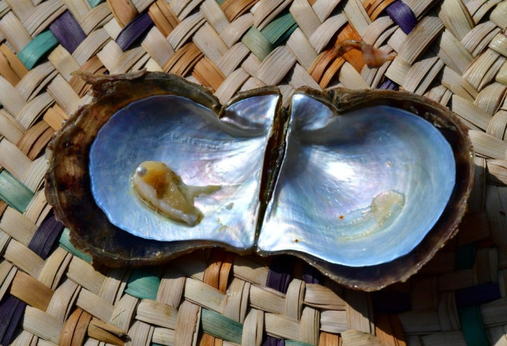 At Suwaidi's pearl farm, diving for the treasures is no longer necessary -- oysters live in cages suspended from buoys and after being "seeded", some 60 percent will produce pearls