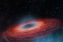 The black hole was discovered by an international team of scientists