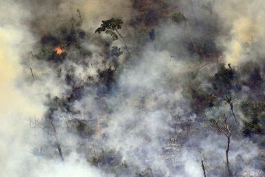 Images of smoke-filled horizions from blazes burning out of control across the Amazon basin made headlines around the world earlier this year