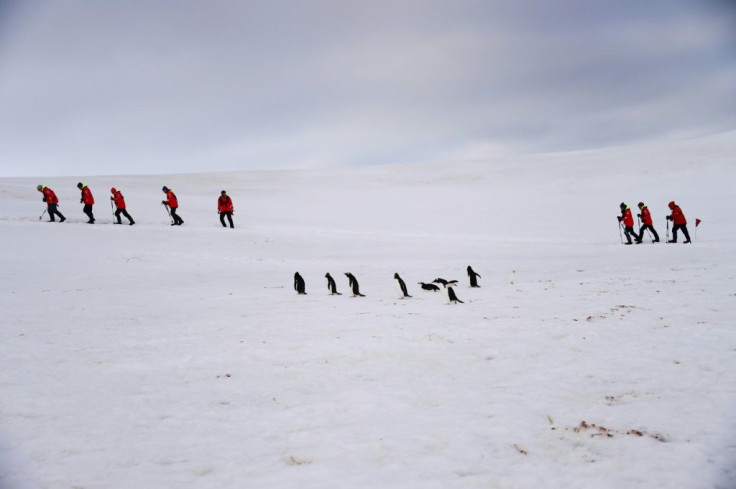 Tourists and Barbijo penguins (Pygoscelis antarcticus) are seen on Half Moon island, Antarctica