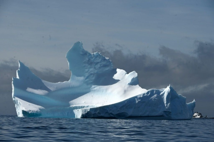 View of an iceberg on Half Moon island, Antarctica