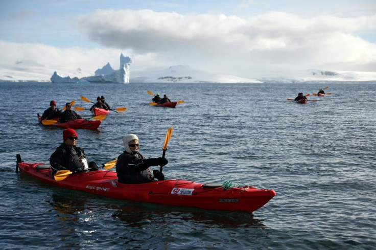 Tourists travel by kayak on Half Moon island, Antarctica