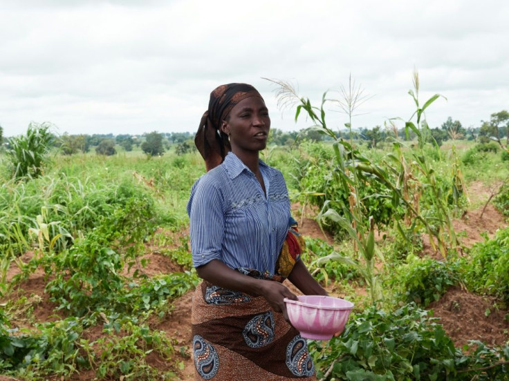 Female farmers who pick shea nuts then wash, boil and roast them before they are bought by middle men who earn up to five times more in bigger markets