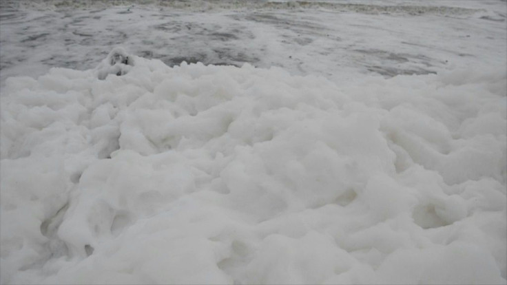 Children have been playing and taking selfies in the clouds of white suds on Marina Beach in Chennai, India, despite the risks