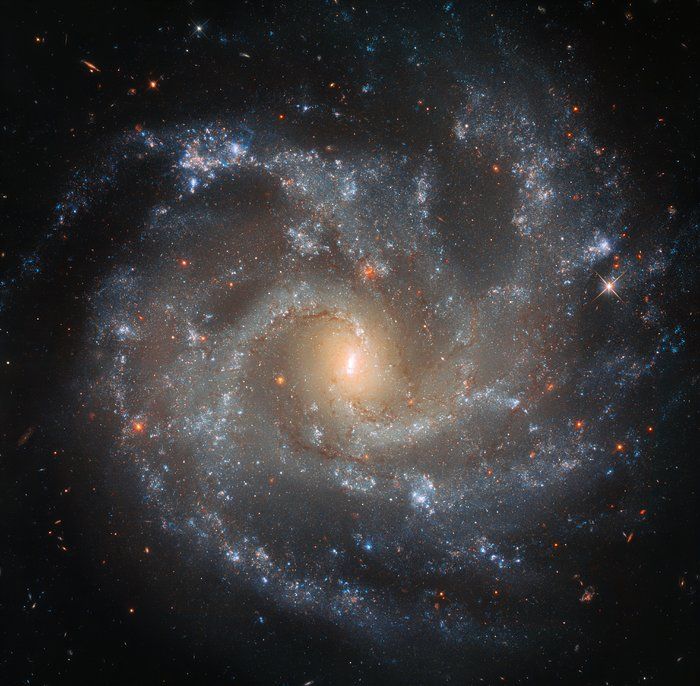 NASA, ESA Capture Stunning Photo Of Spiral Galaxy Rich In Supernova ...