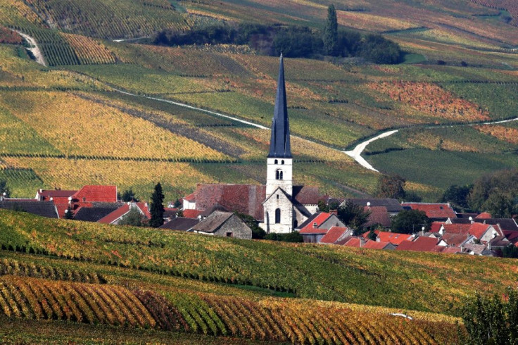 Sparkling wines such as Champagne are on the list of products that could face stiff tariffs amid a US-France dispute