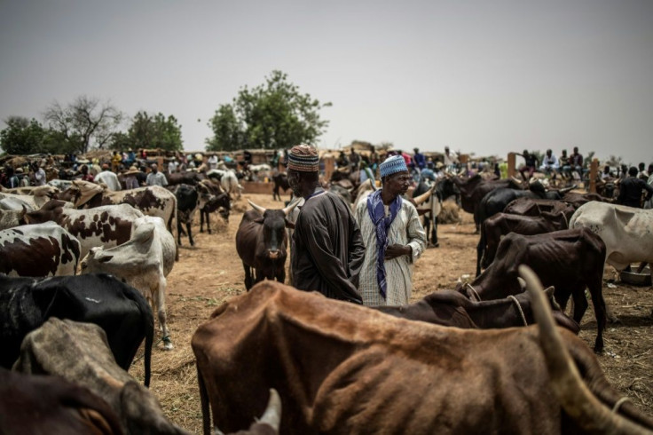 For sale: Fulani herders gather at the N'gonga cattle market near Dosso