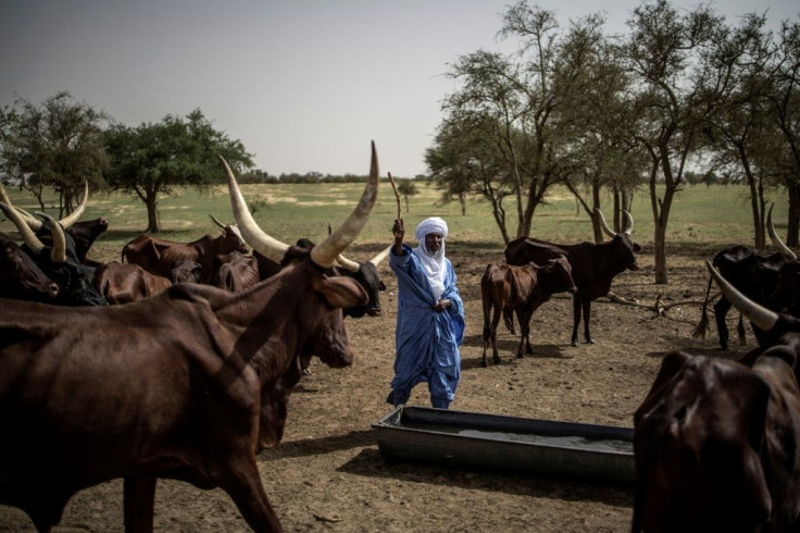 Every winter, herder Rouada Sabgari says that he camps nearby a well dug by his grandfather more than half a century ago