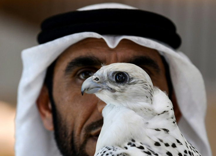 A man with a perched falcon at the Abu Dhabi International Hunting and Equestrian Exhibition in August