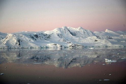 The Antarctic peninsula is one of the regions on Earth that is warming the fastest