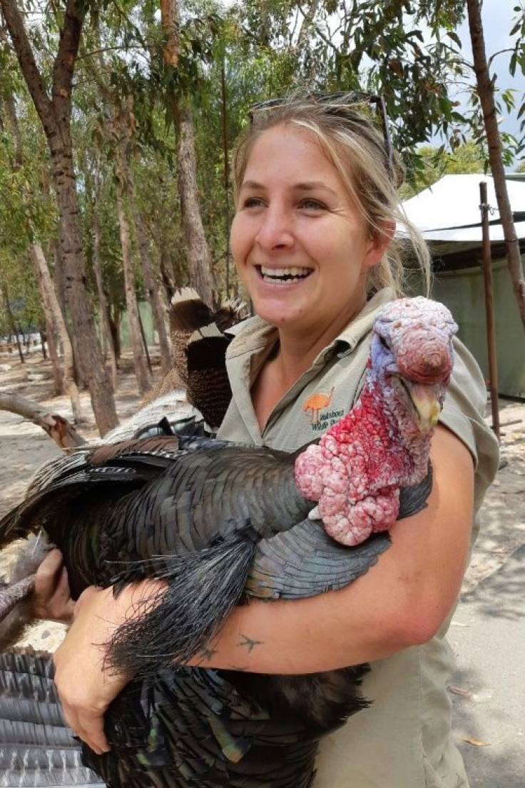 At a wildlife park in the area, 300 animals were evacuated