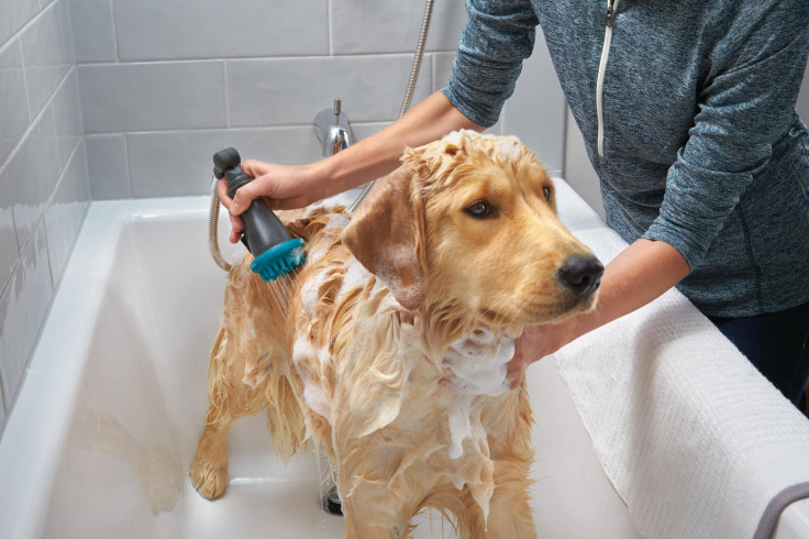 PEERLESS SHOWER SIDEKICK