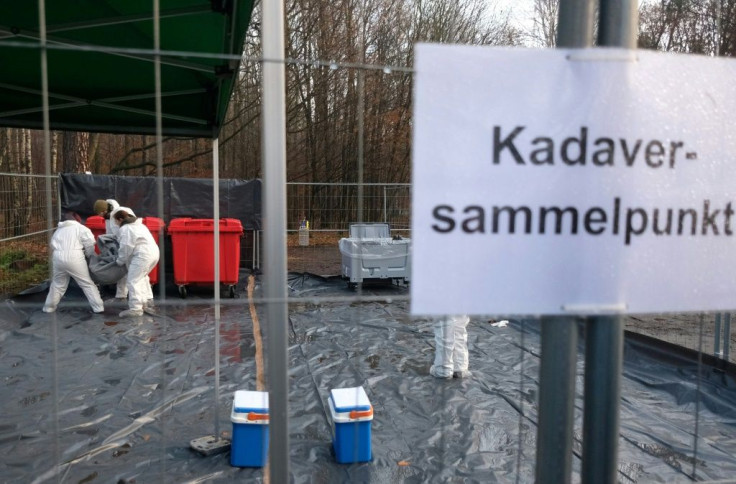 'The question is no longer if swine fever will come to Germany but when'