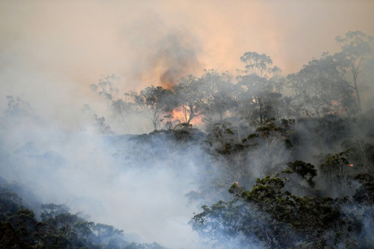 Six people have been killed and more than 700 houses destroyedÂ in Australian bushfires this fire season