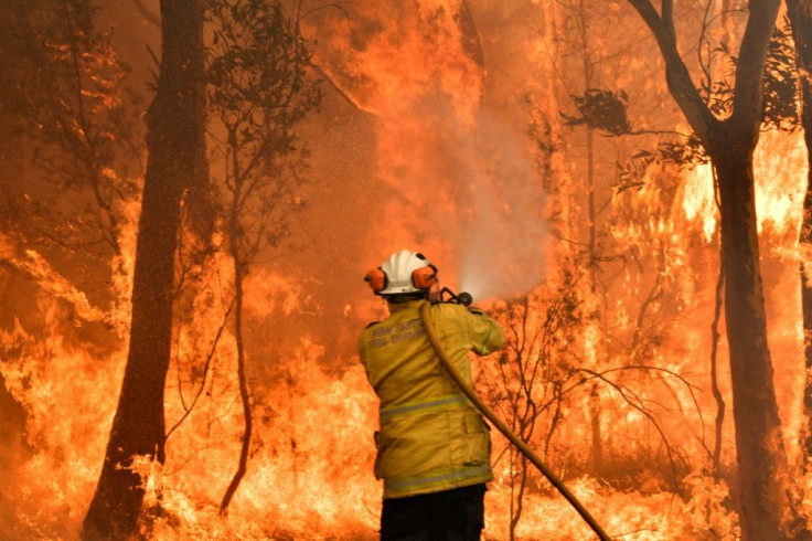 Three million hectares (7.4 million acres) of land has been burnt and vast swathes of koala habitat scorched by Australian bushfires this year