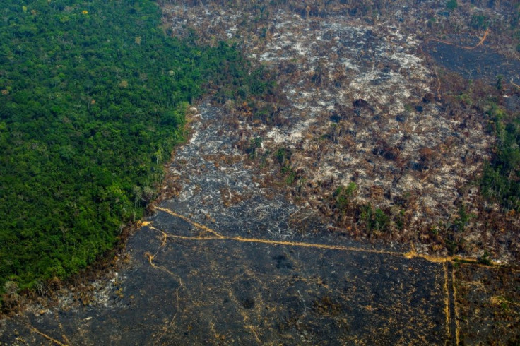 Deforestation in Brazil's Amazon, shown in this photo taken in Para state in August 2019, has risen sharply this year