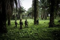 Troops from the UN's stabilisation force in the region are working with DR Congo forces against the militia at the end of October