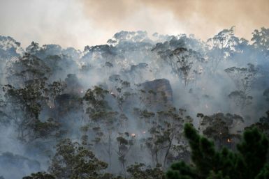 The devastating fires have focused attention onÂ climate change, with scientists saying the blazes have come earlier and with more intensity than usual due to global warming and a prolonged drought
