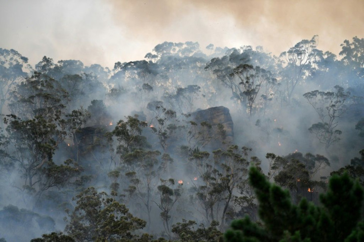 The devastating fires have focused attention onÂ climate change, with scientists saying the blazes have come earlier and with more intensity than usual due to global warming and a prolonged drought