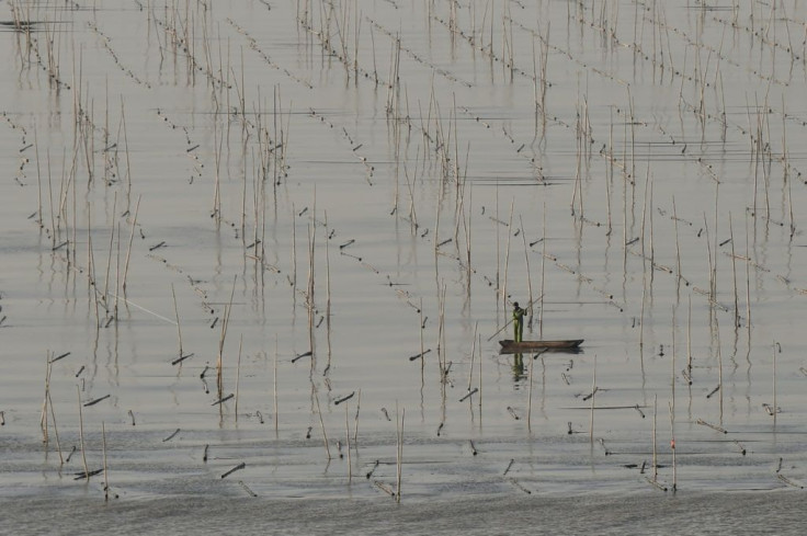 A seaweed farmer punts through the receding tide near Dong Bi fishing village in Xiapu