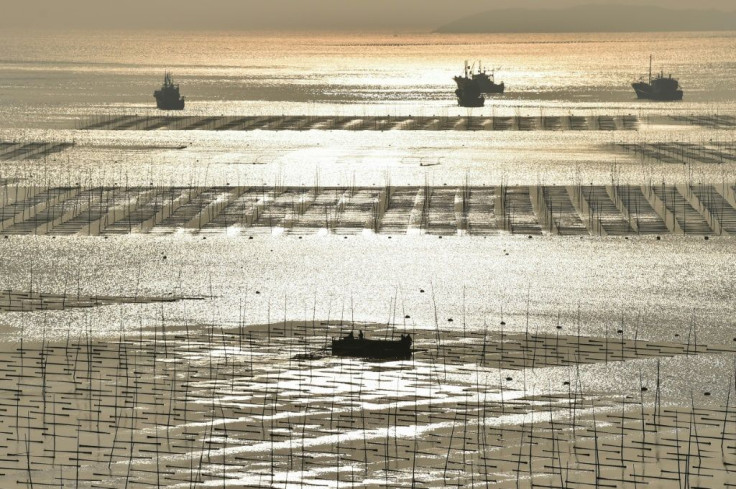 Dong Bi's seaweed farms provide a striking backdrop for photographers
