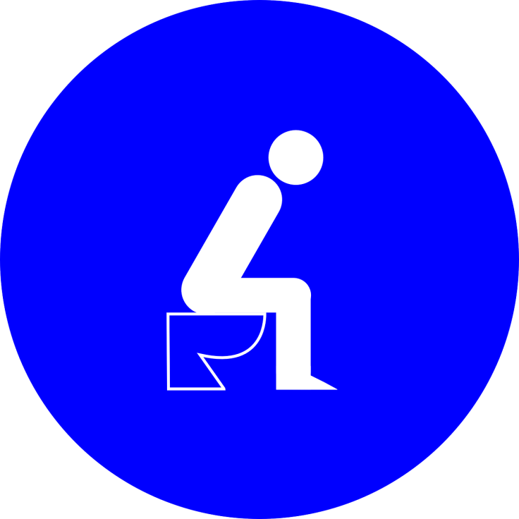 toilet-33629_1280