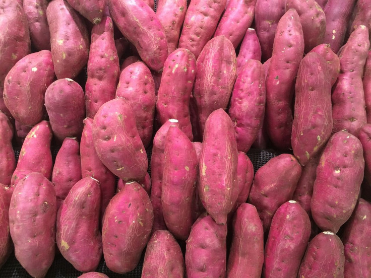 sweet potato to lower blood sugar