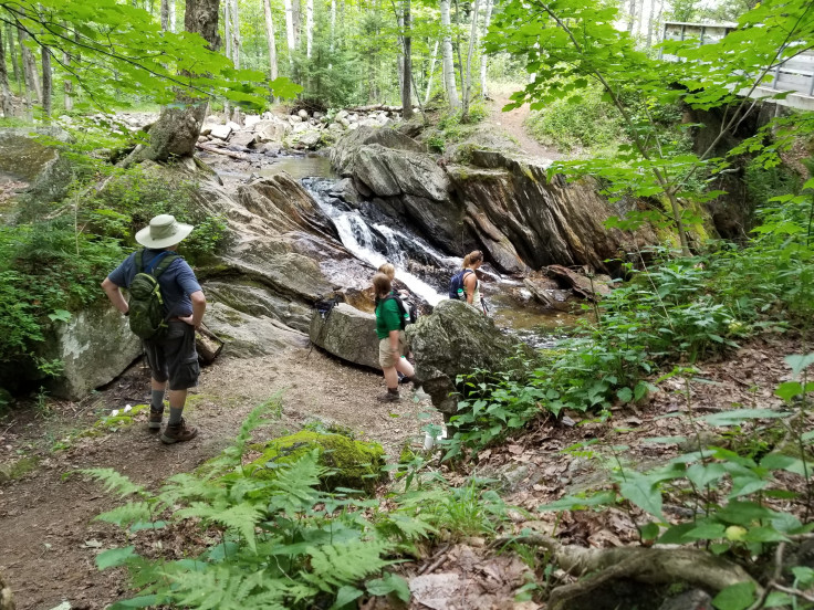 NLHS waterfall