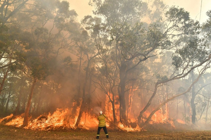 A record heatwave in Asustralia threatens to exacerbate an already unprecedented bushfire season