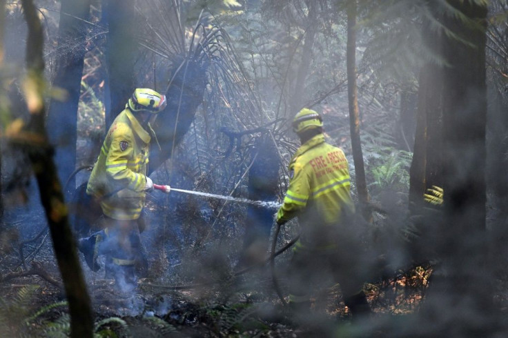 Some 2,000 firefighters are battling the blazes in New South Wales with the support of US and Canadian teams and Australia Defence Force personnel